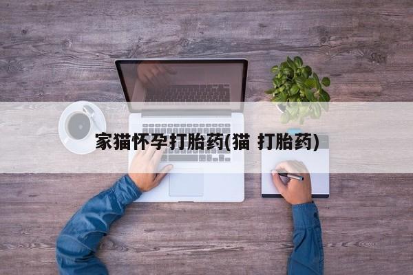 网上米非司酮片米索前列醇在线下单购买家猫怀孕打胎药(猫 打胎药)